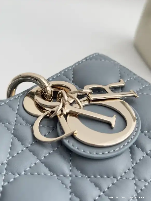 Tony Luxuries BAG-22*12*6CM D-JOY diro LADY 0406